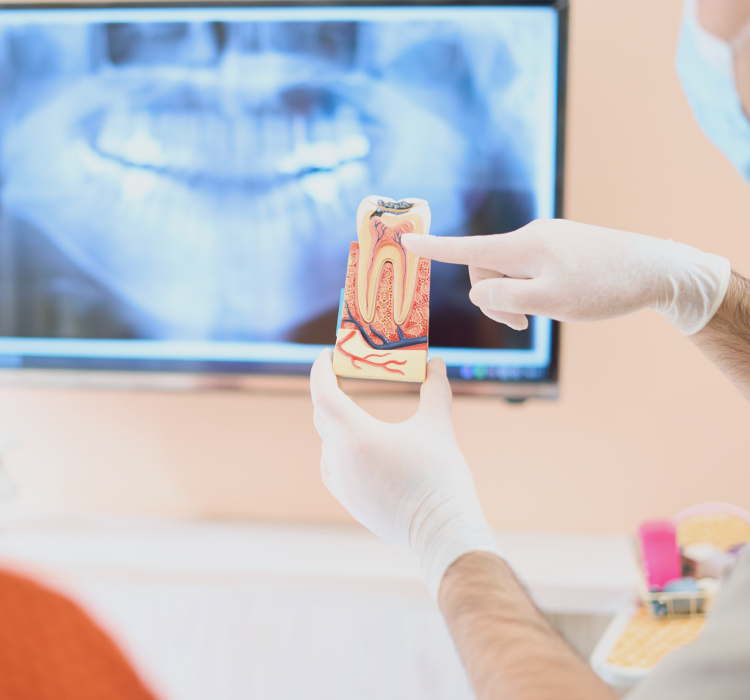 ハルデンタルクリニック